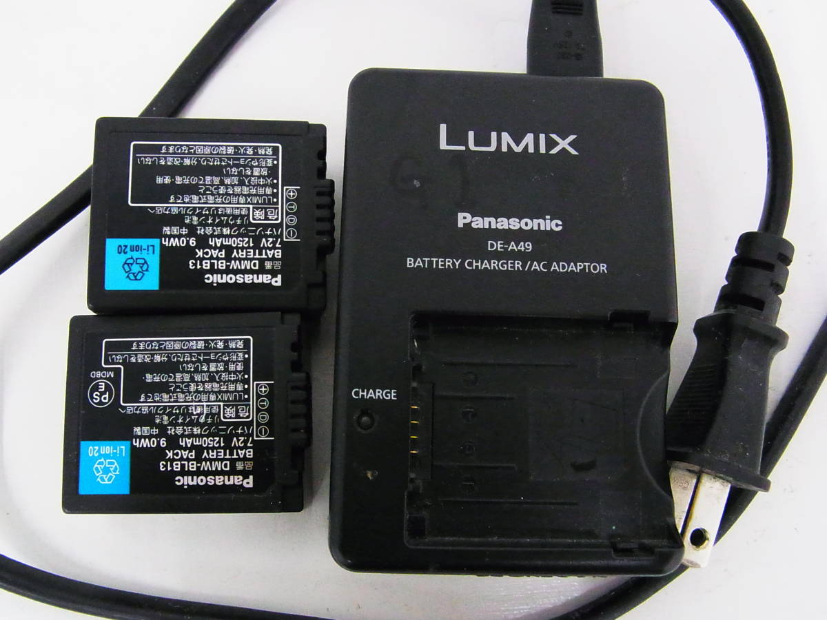 Panasonic Lumix DMC-G1 ブルーボディ　純正バッテリー２個と充電器つき　完動品_画像10