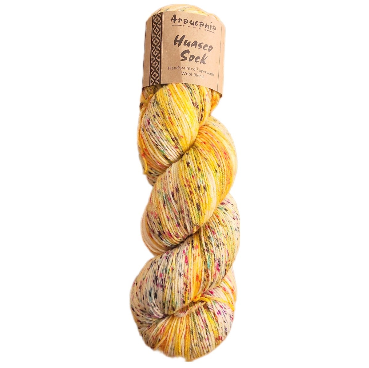 Araucania yarns Huasco sock ソックヤーン　手染め