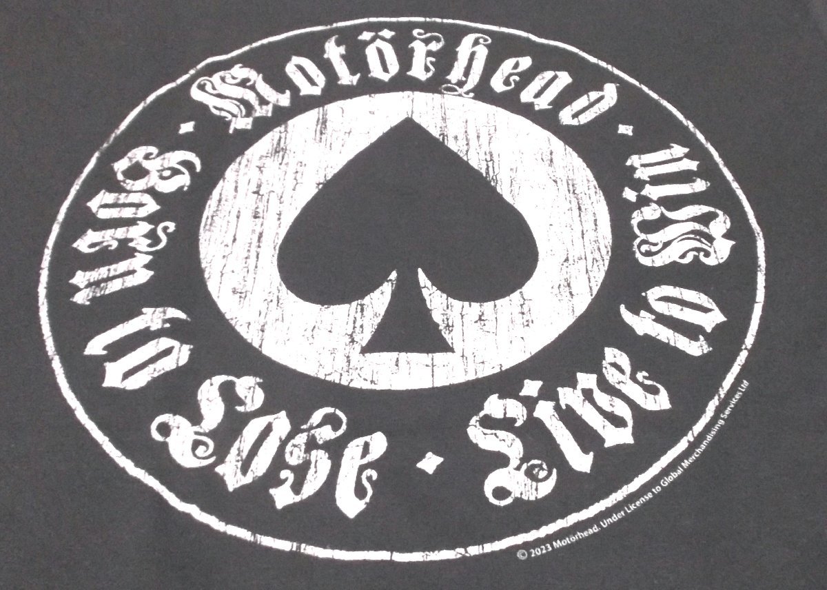 ★モーターヘッド Tシャツ MOTORHEAD Born To Lose - M 正規品 ロックTシャツ_画像3