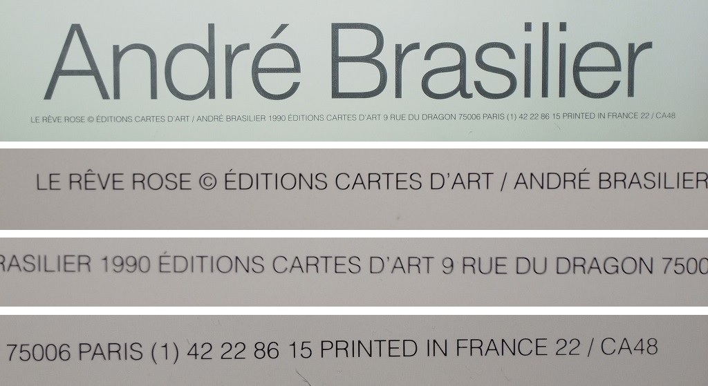 Andre brasilier アンドレ ブラジリエ 『バラ色の夢』ポスター / フランス生れ_画像8