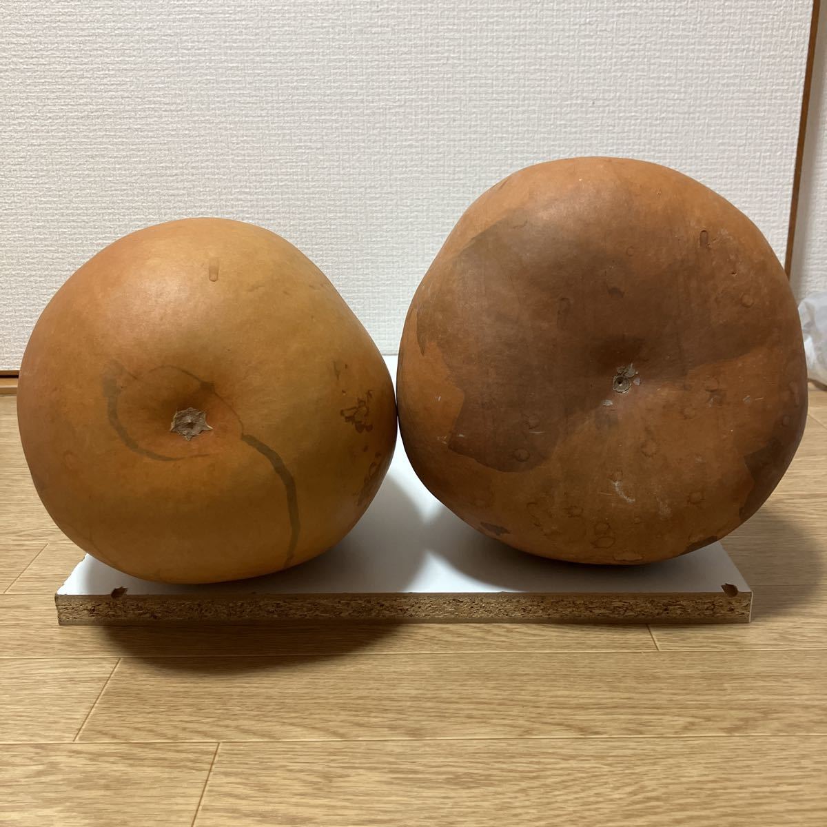 趣味　レトロ 昭和　天然 　乾燥 ひょうたん 瓢箪　２個　大きい_画像6