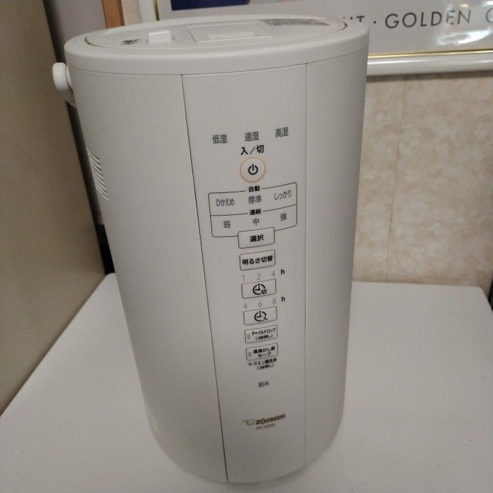 ZOJIRUSHI スチーム式加湿器 EE-DB50