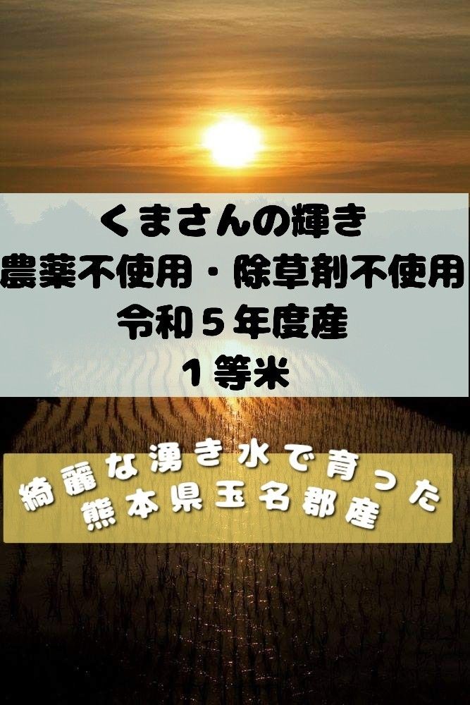 綺麗な湧き水で育った★熊本県産くまさんの輝き★一等米★白米★５キロ