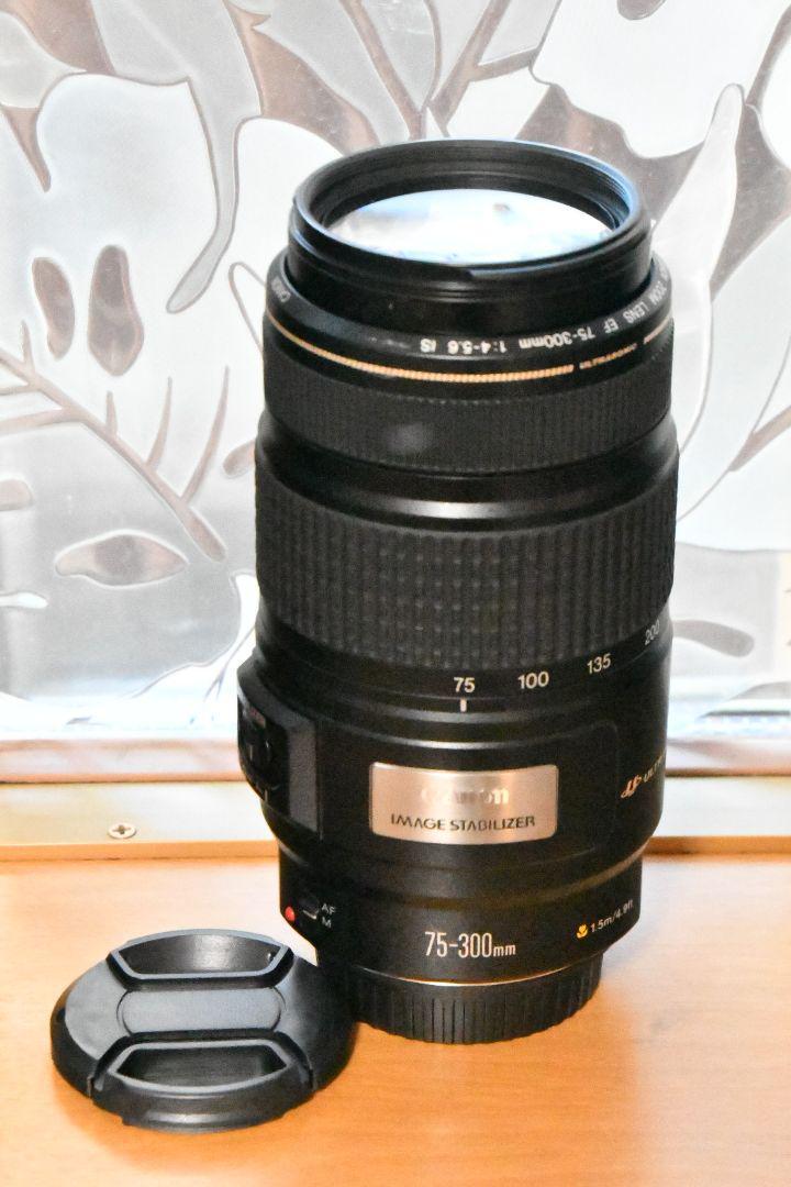一眼レフカメラ キヤノン レンズ Canon EF 75-300mm F4-5.6 IS USM 整備 レンズ電気接点コーティング【中古】_画像1