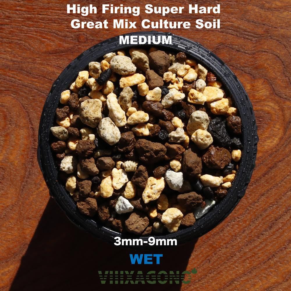 VIIIXAGONO 超硬質焼成培養土 中粒 30L 6mm〜9mm多肉植物 サボテン
