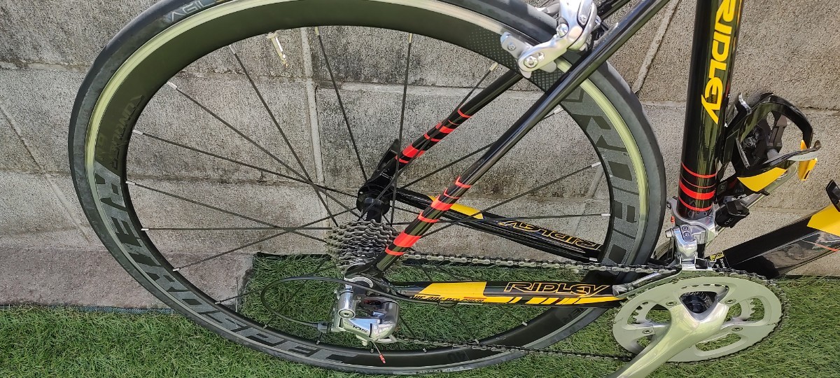 リドレー RIDLEY FENIX 7005 ベルギーチャンピオンカラー(520mm