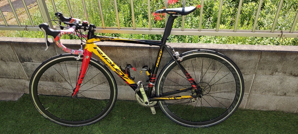 リドレー RIDLEY FENIX 7005 ベルギーチャンピオンカラー(520mm
