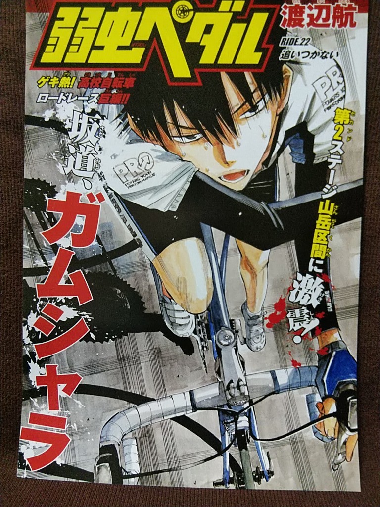 週刊少年チャンピオン 2008年No.34 グラビア切り抜き 山崎真実 弱虫ペダル BIGポスター付き_画像5