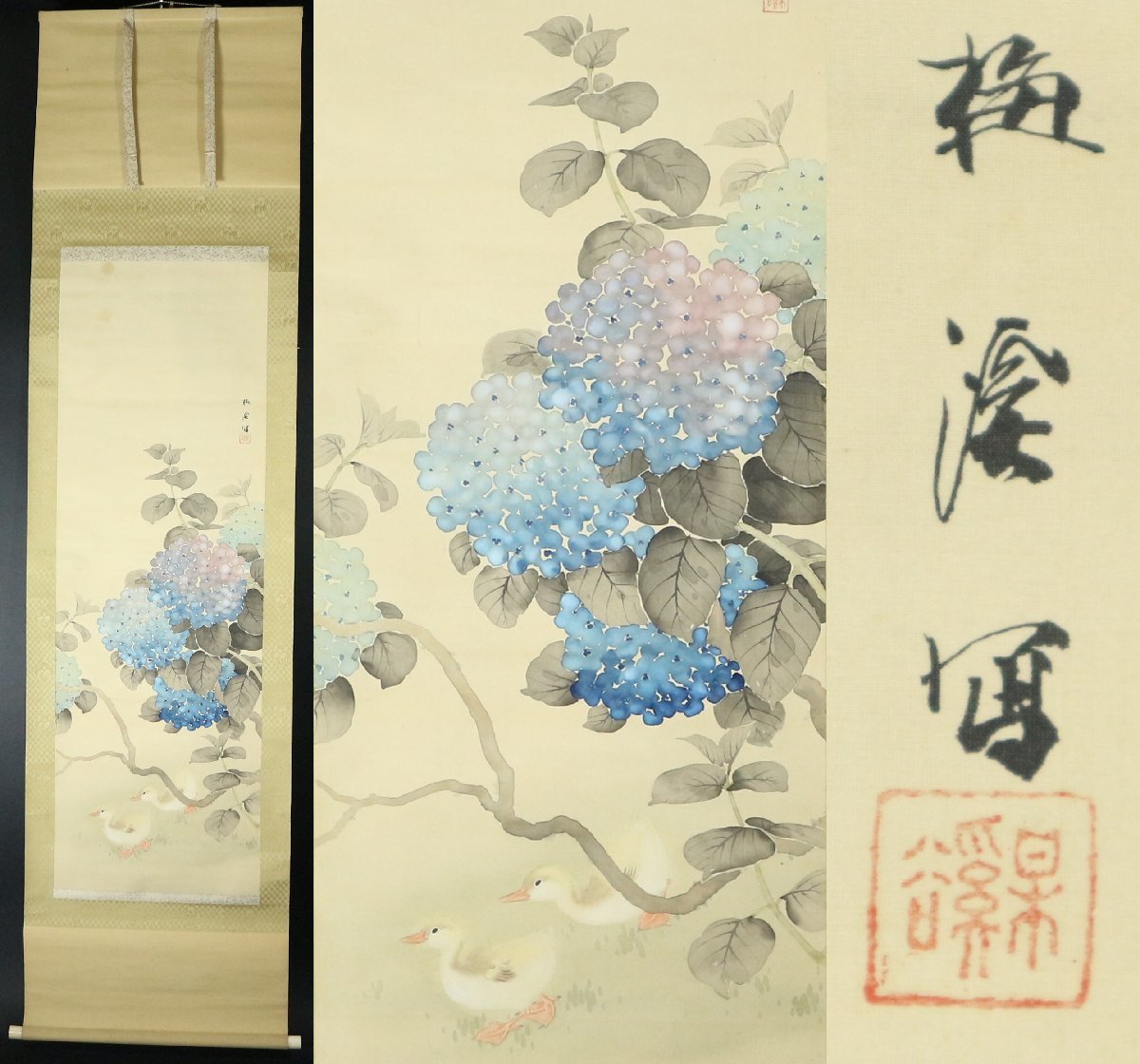 梅渓 銘 紫陽花と家鴨 絹本 肉筆 花鳥図 掛軸 軸装品の画像1