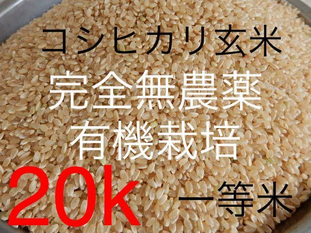完全無農薬 有機栽培 20キロ 『一等米』令和5年 新米 コシヒカリ玄米