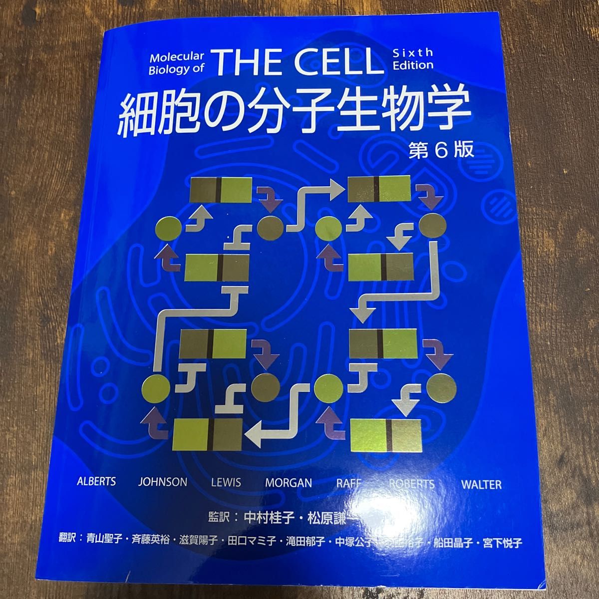 細胞の分子生物学 第6版-