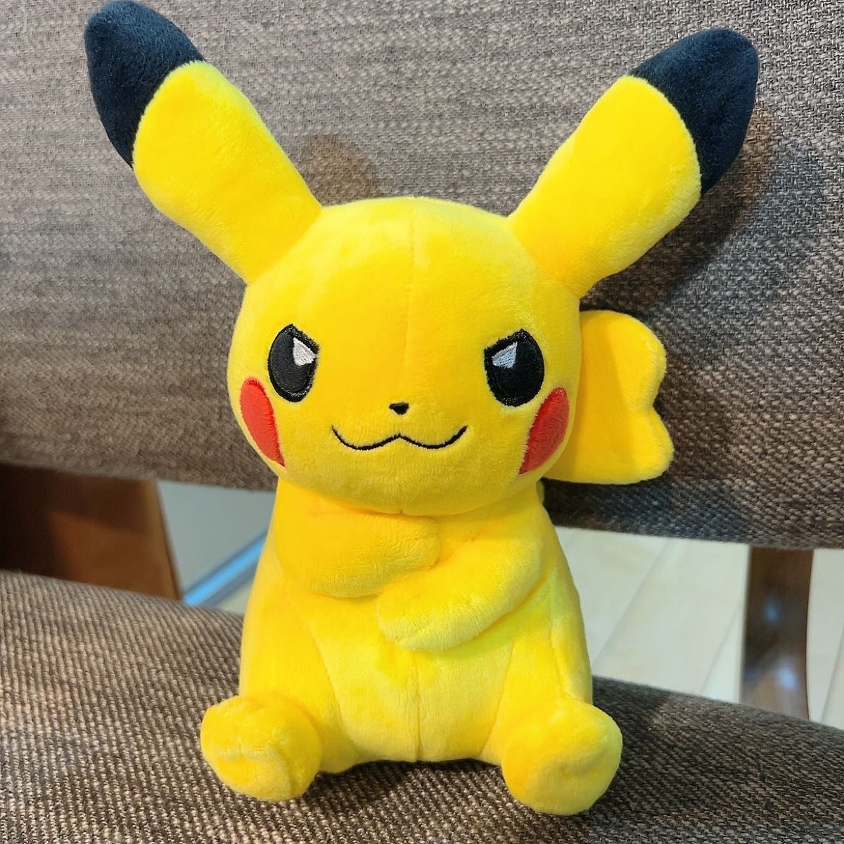 最新最全の ポケモン my マイピカチュウ キャプテン オス ピカチュウ