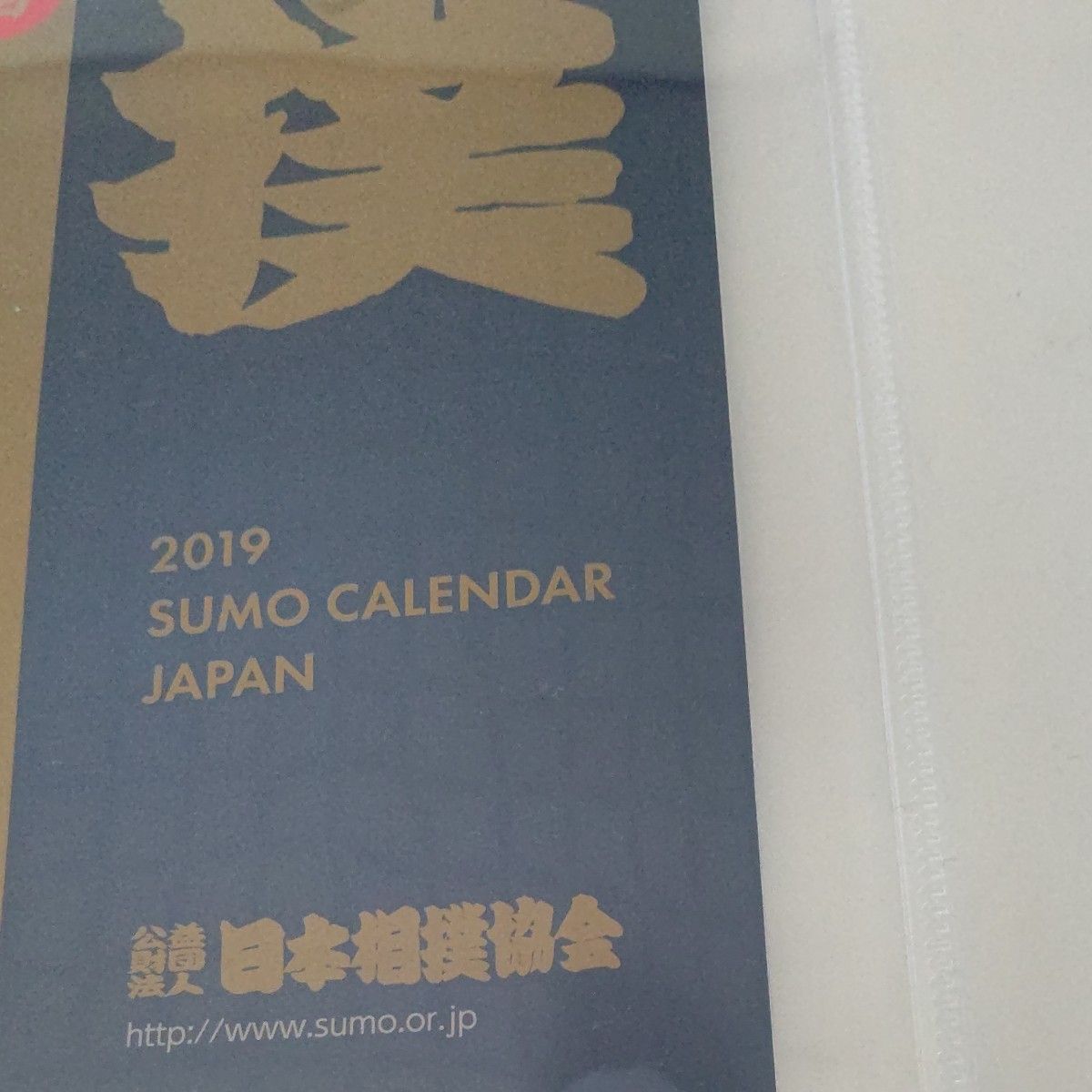 大相撲カレンダー 2019年 未使用品 日本相撲協会 壁掛けカレンダー