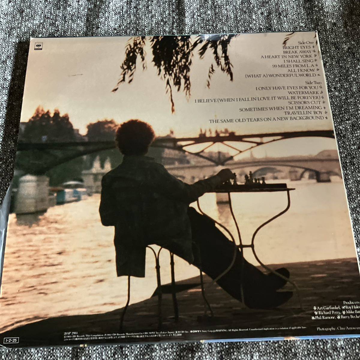 レコード　ガーファンケル　the art garfunkel album