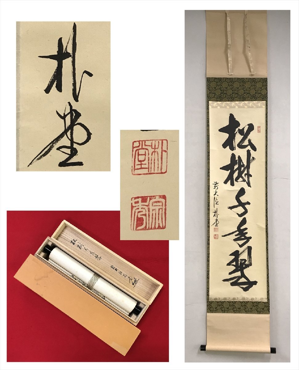 千寿】大徳寺派 福聚院 佐藤朴堂 松寿千年翠 紙本 d185◇箱/茶道具/古