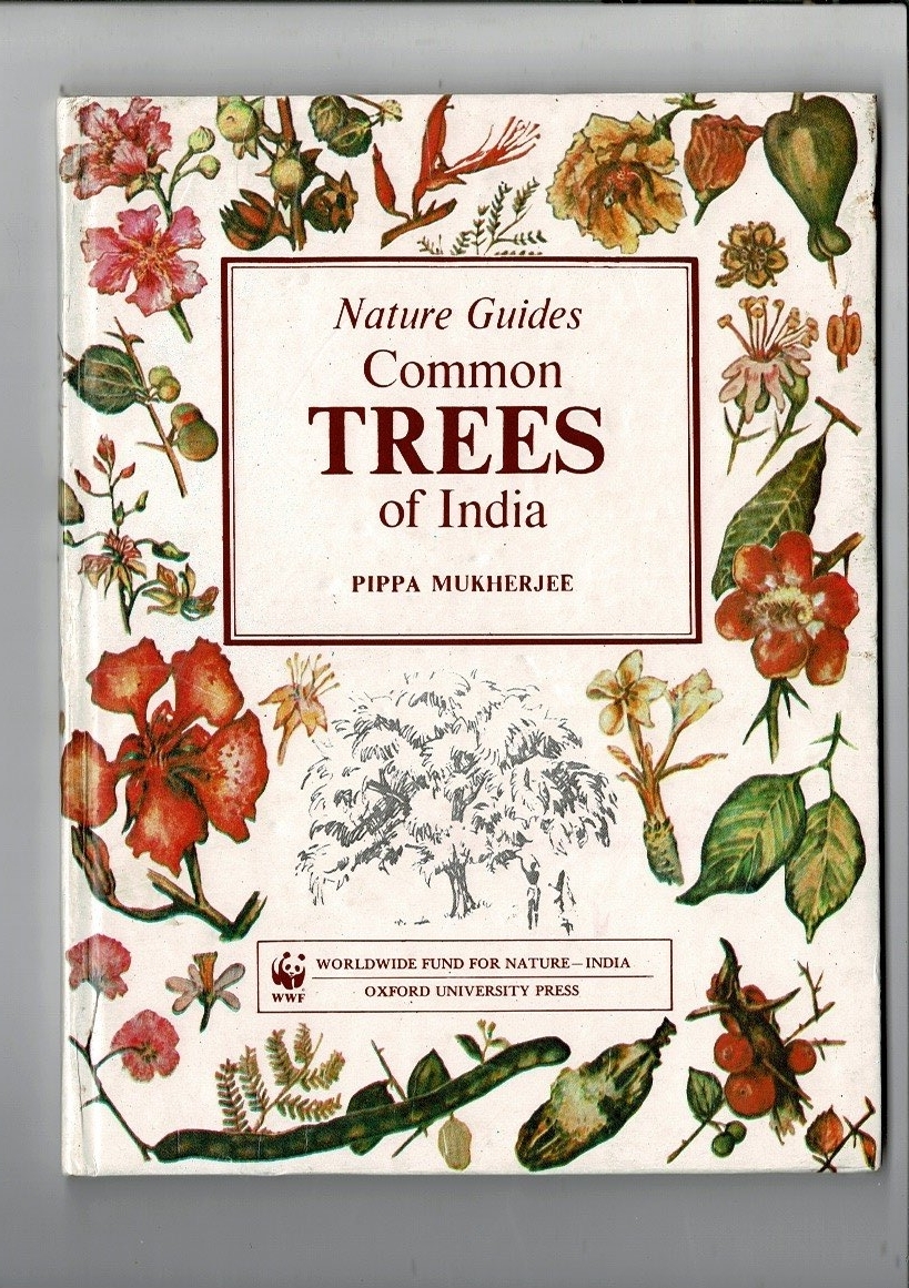 ＊RE523KA「Nature guides Common Trees of India」Mukherjee, Pippa著 World Wildlife Fund - India 1983 およそB5 12～14歳向け 英語 62p_画像1