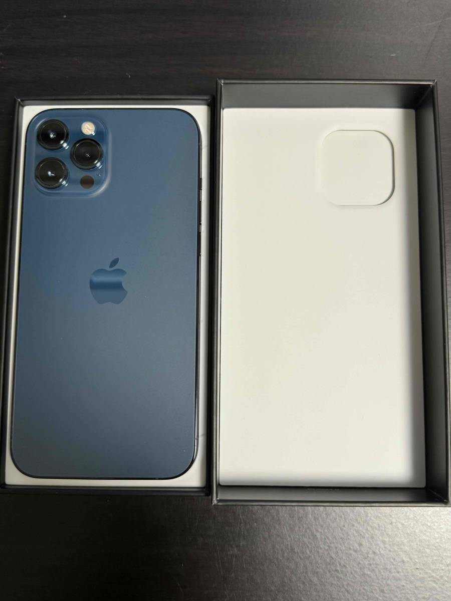 iPhone 11 Pro Max 256 GB SIMフリー-