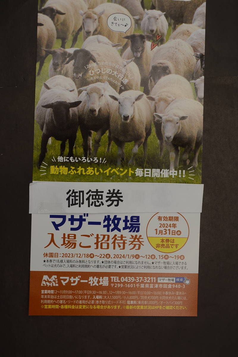 マザー牧場　入場ご招待券　期限2024/1/31　1枚500円　2枚セット1000円　送料無料_画像3