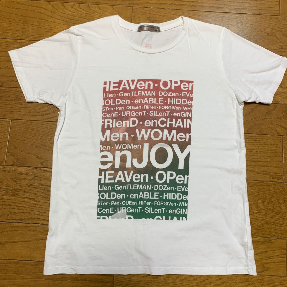 B'z 稲葉浩志　ライブTシャツ　　　　　　　　　　　　　　　Koshi Inaba LIVE2010〜enⅡ〜