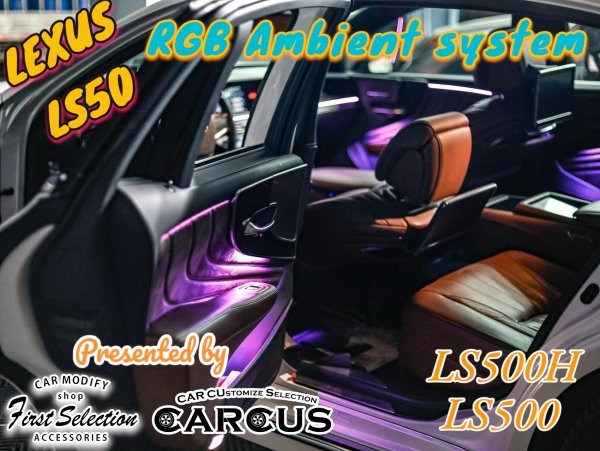 LS50系用☆LEDイルミネーション◆LEXUS_LS50系前_後期OK★23ヶ所アンビエント発光☆OP2ヶ所追加可★LS500(VXFA50/55) / LS500h(GVF50/55)_画像4