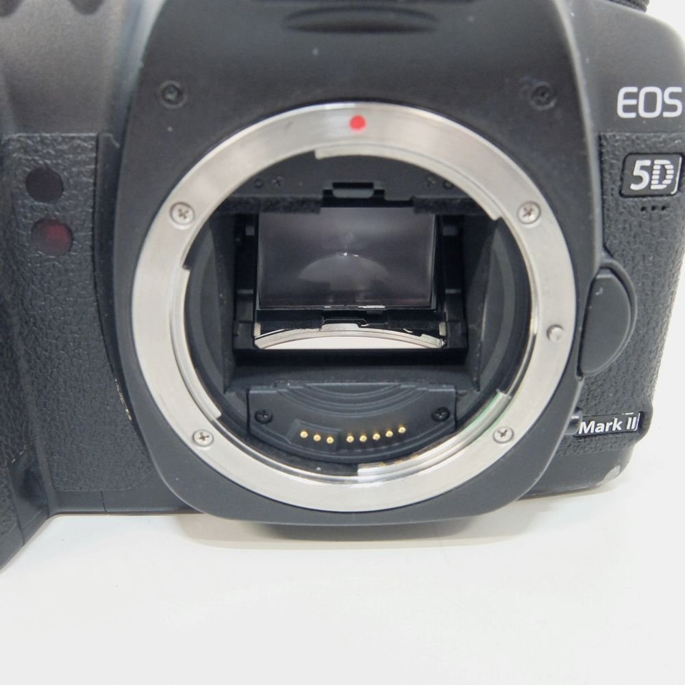 Canon EOS-5D Mark2 一眼レフカメラ ボディのみ シャッター数234128回【中古/動作品】*369010_画像3