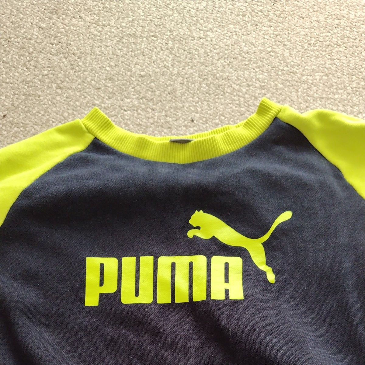 PUMA 裏起毛150