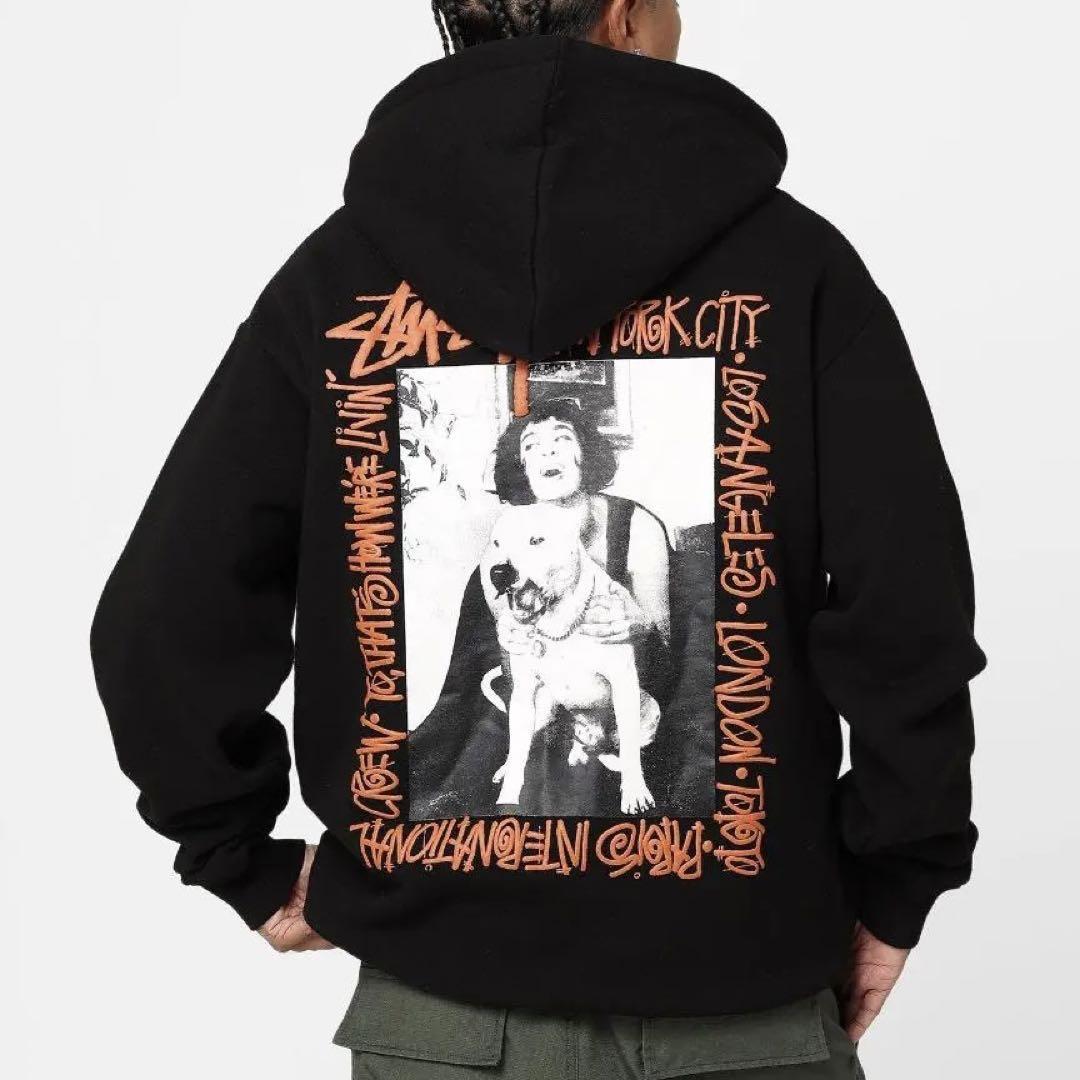 海外限定 ステューシー Stussy ハーフジップ パーカー XL|Yahoo