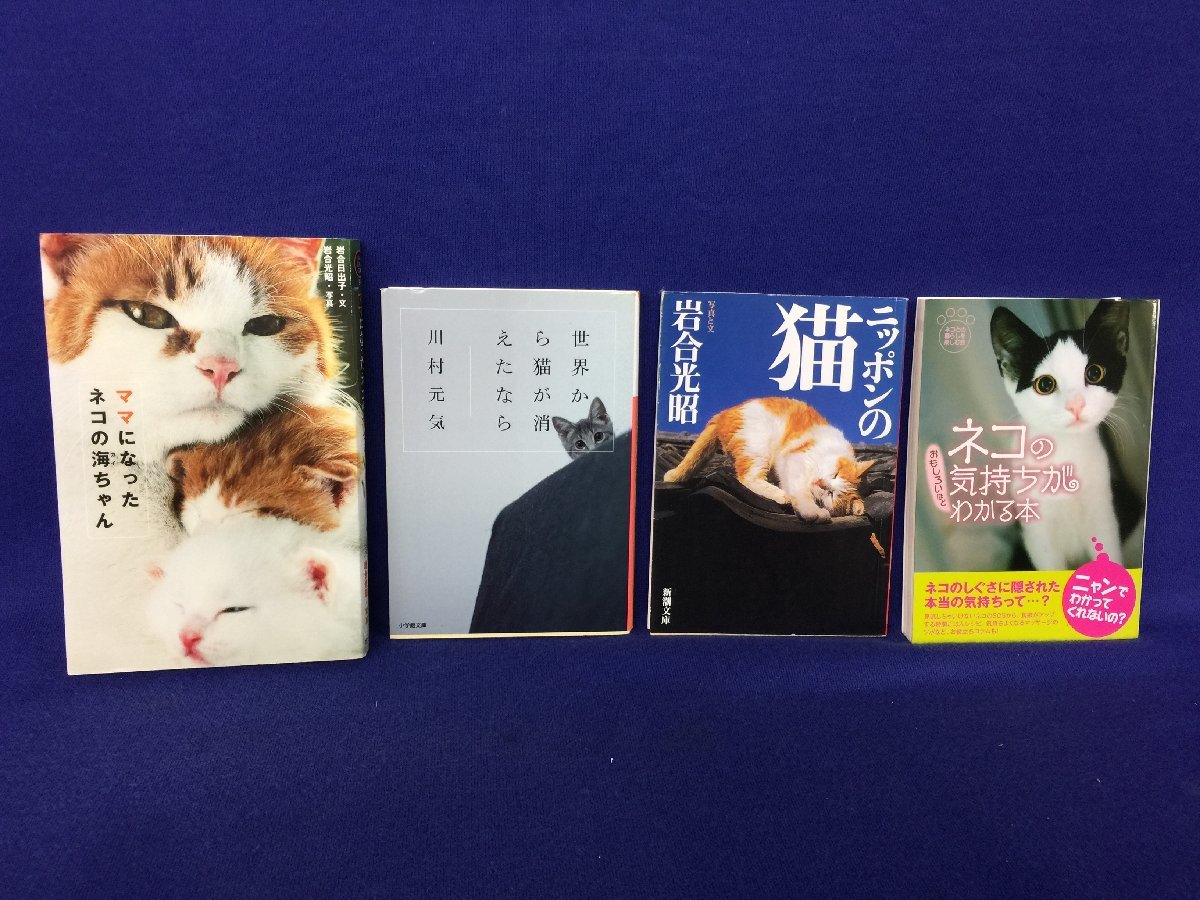 ★２９―００７★書籍　猫関連本 100万回生きたねこ 池田あきこ ネコの気持ちがわかる本 等 13点まとめて 絵本 図録画集 写真集[100]_画像9