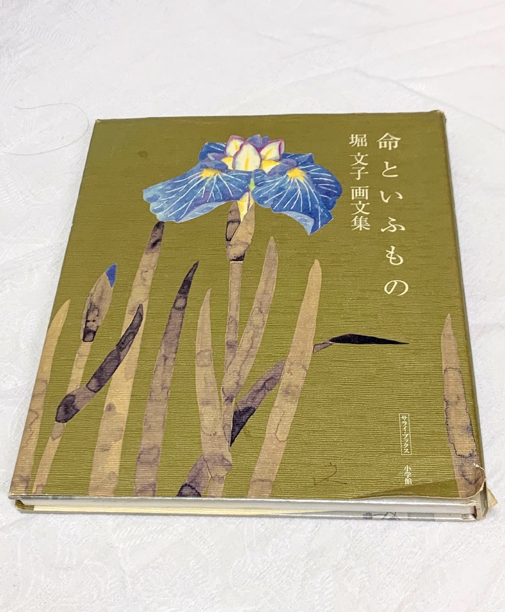 632A/命といふもの 堀文子 画文集 2012年 定価3000円 サライブックス 株)小学館 長期保管品_画像1