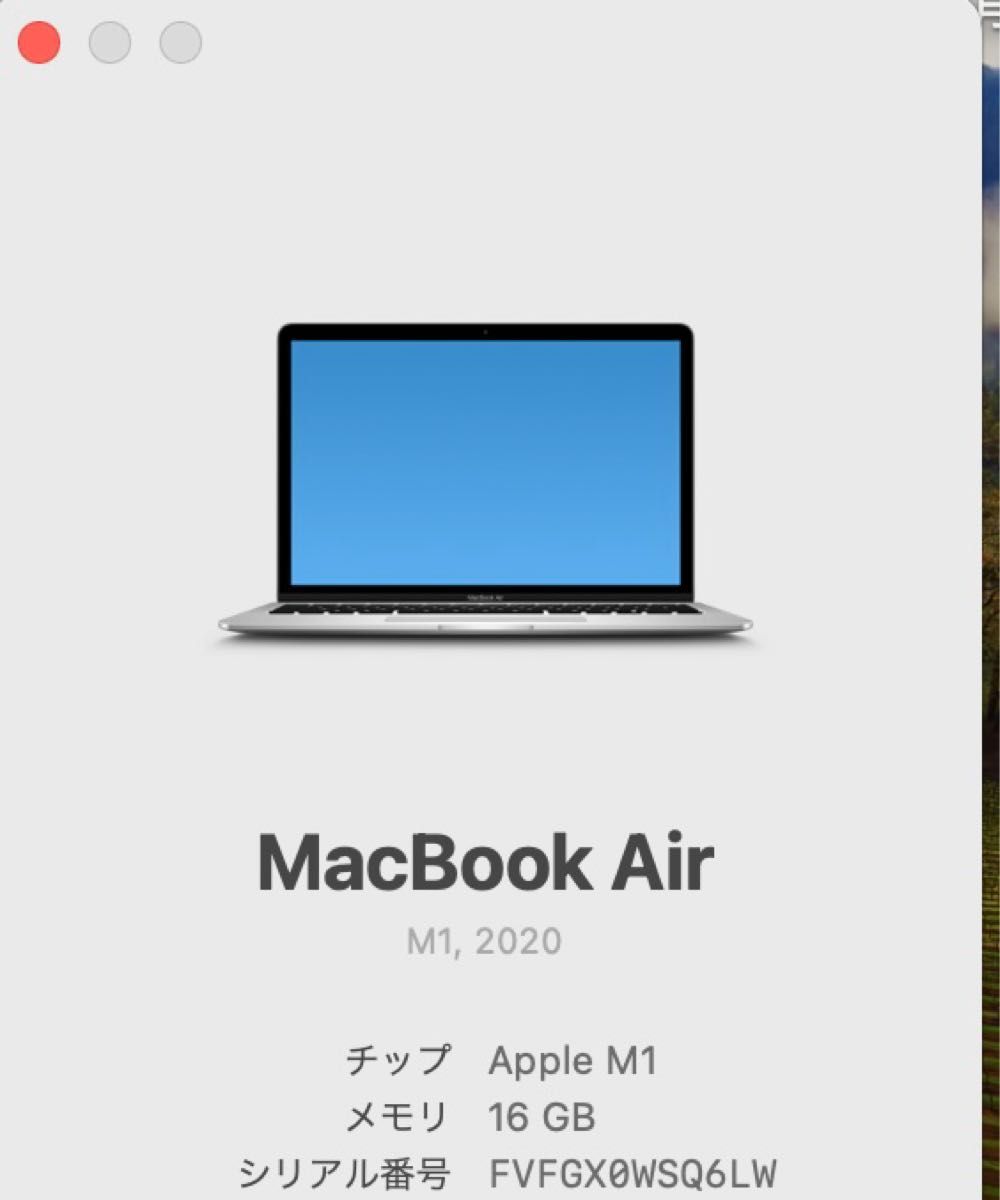 【美品】MacBook Air 13インチ M1 SSD 256GB シルバー メモリ16GB 付属品完備