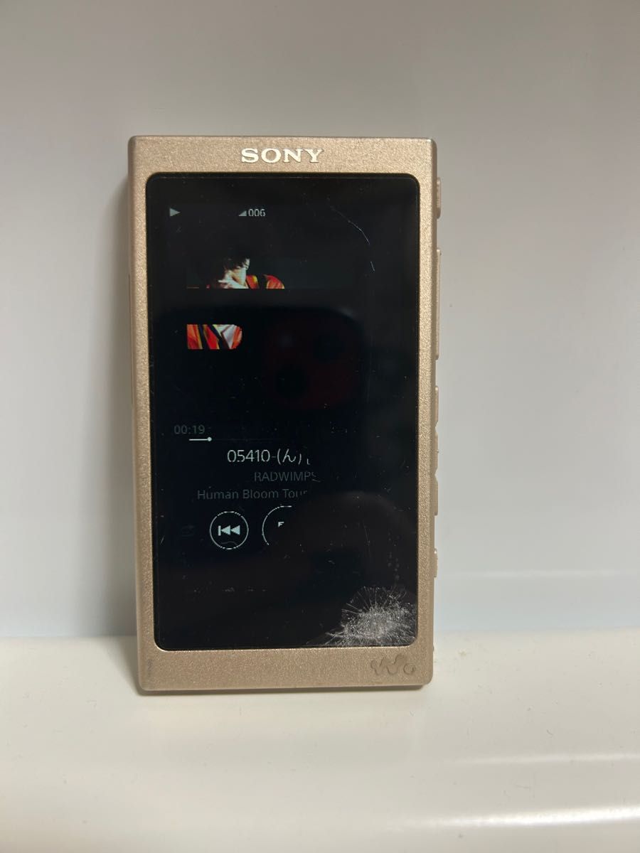 SONY ウォークマン Aシリーズ NW-A46HN(N) ジャンク