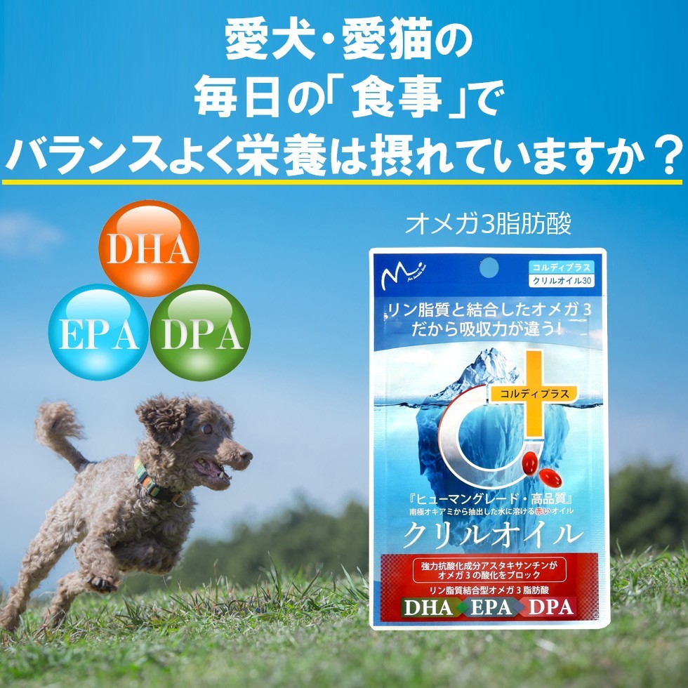  ☆魚油の3倍以上の吸収力☆　犬 猫 サプリメント EPA DHA オメガ3 オイル 脂肪酸 膝 ひざ 関節 背骨 腰 心血管 脳 皮膚を健康に保つ _画像3