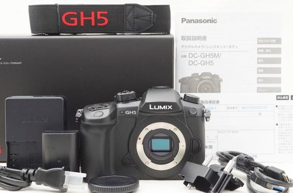 最新デザインの DC-GH5 パナソニック Panasonic ☆新品同様☆ ボディ