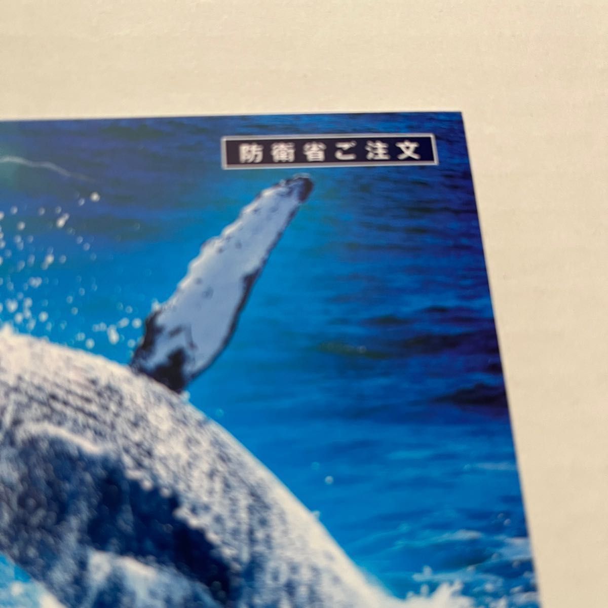 潜水艦 らいげい 進水記念ハガキ 防衛庁注文 海上自衛隊 潜水艦 潜水艦 らいげい 進水記念ハガキ 防衛庁注文 海上自衛隊 潜水艦