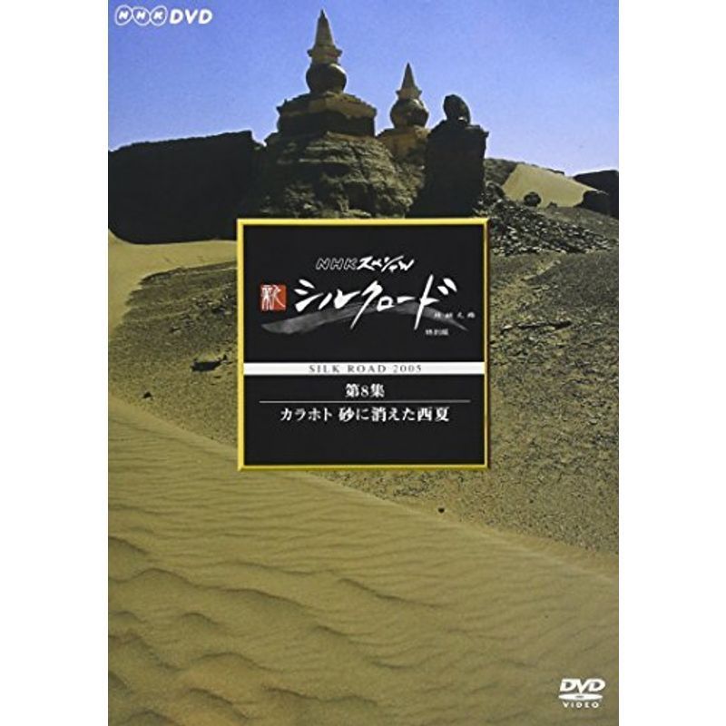 NHKスペシャル 新シルクロード 特別版 第8集 カラホト 砂に消えた西夏 DVD_画像1