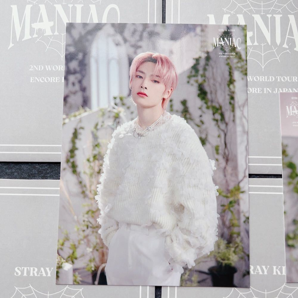 Stray Kids スキズ 2nd World Tour MANIAC ENCORE in JAPAN ランダムトレカ フォトカードセット アイエン I.N バンチャン BangChan_画像2