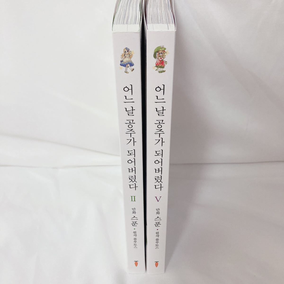 【 韓国漫画 韓国語 】 ある日、お姫様になってしまった件について 韓国版 2巻 5巻 ある姫 まとめ売り_画像6