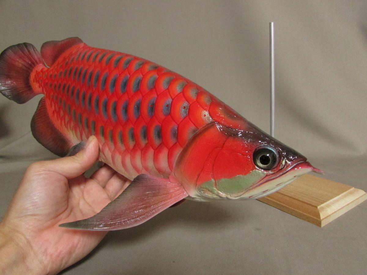 ハンドメイド 40cmアロワナ 熱帯魚 フィギュア 魚模型 レプリカ 古代魚-
