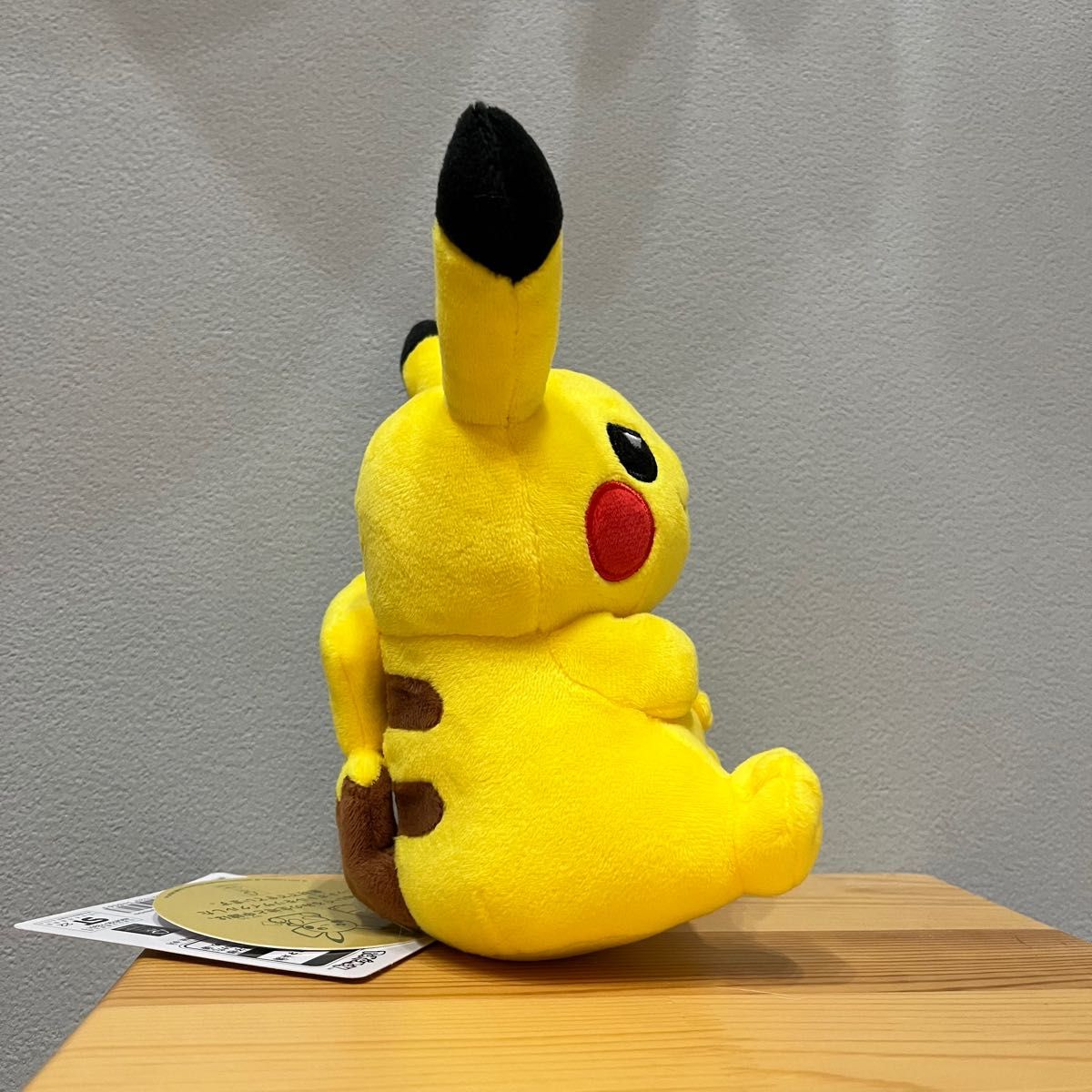 ポケモンセンター マイピカチュウ mypikachu きりりおめめ 腕組み メス-