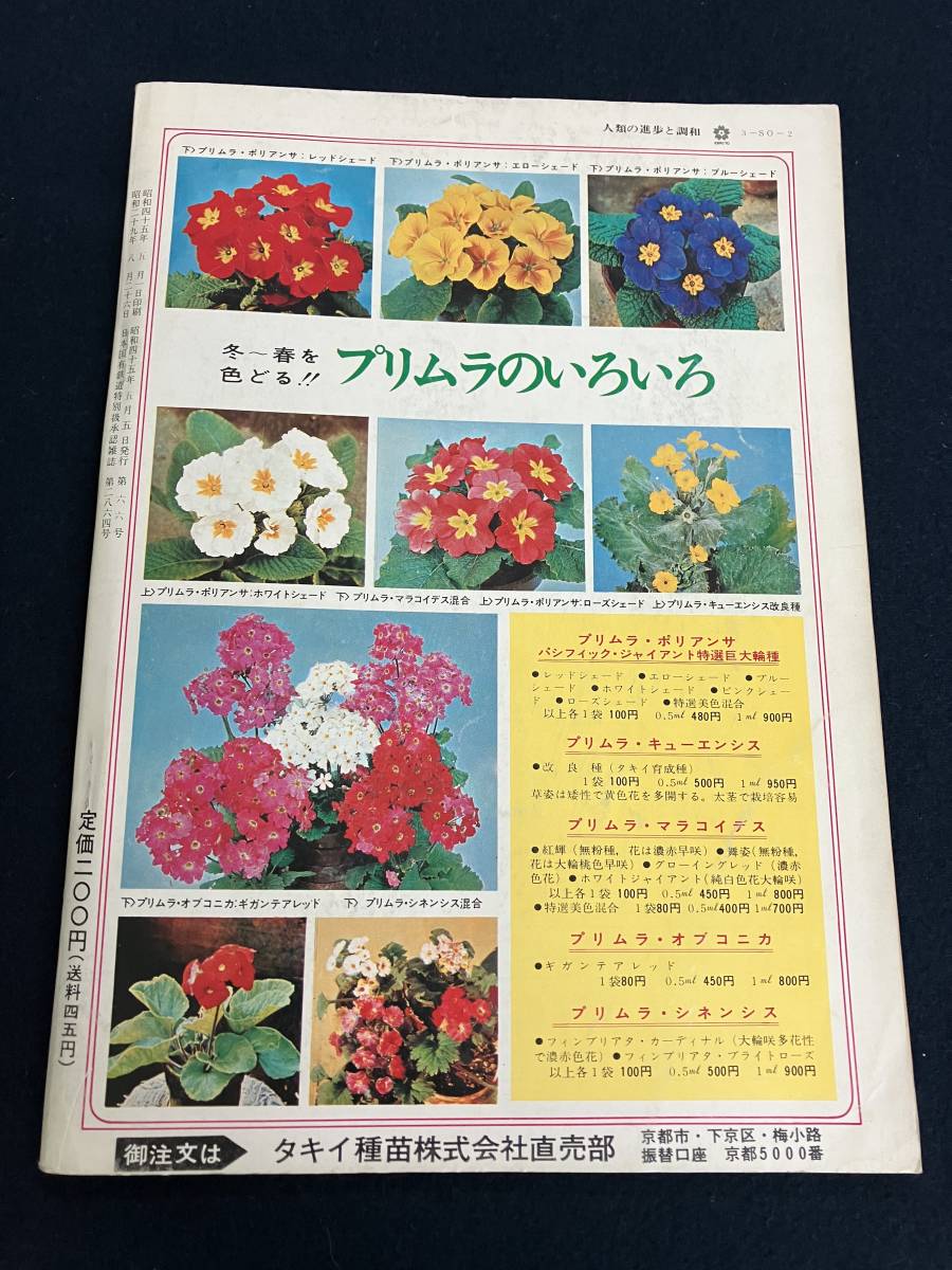 o302 новый цветок . no. 66 номер Япония цветок . садоводство ассоциация takii вид рассада акционерное общество выпускать часть 1969 год 6 месяц реальный было использовано Hanaki kokemo Moga mazmi2Cd4