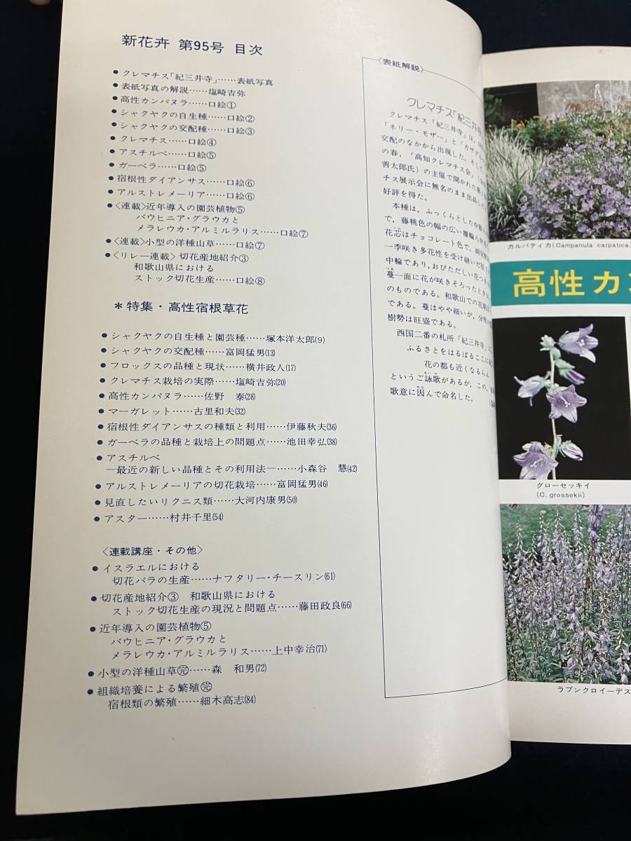 o308 новый цветок . no. 95 номер Япония цветок . садоводство ассоциация takii вид рассада акционерное общество выпускать часть 1977 год 8 месяц высота .. корень . цветок пион клематис Margaret 2Cd4