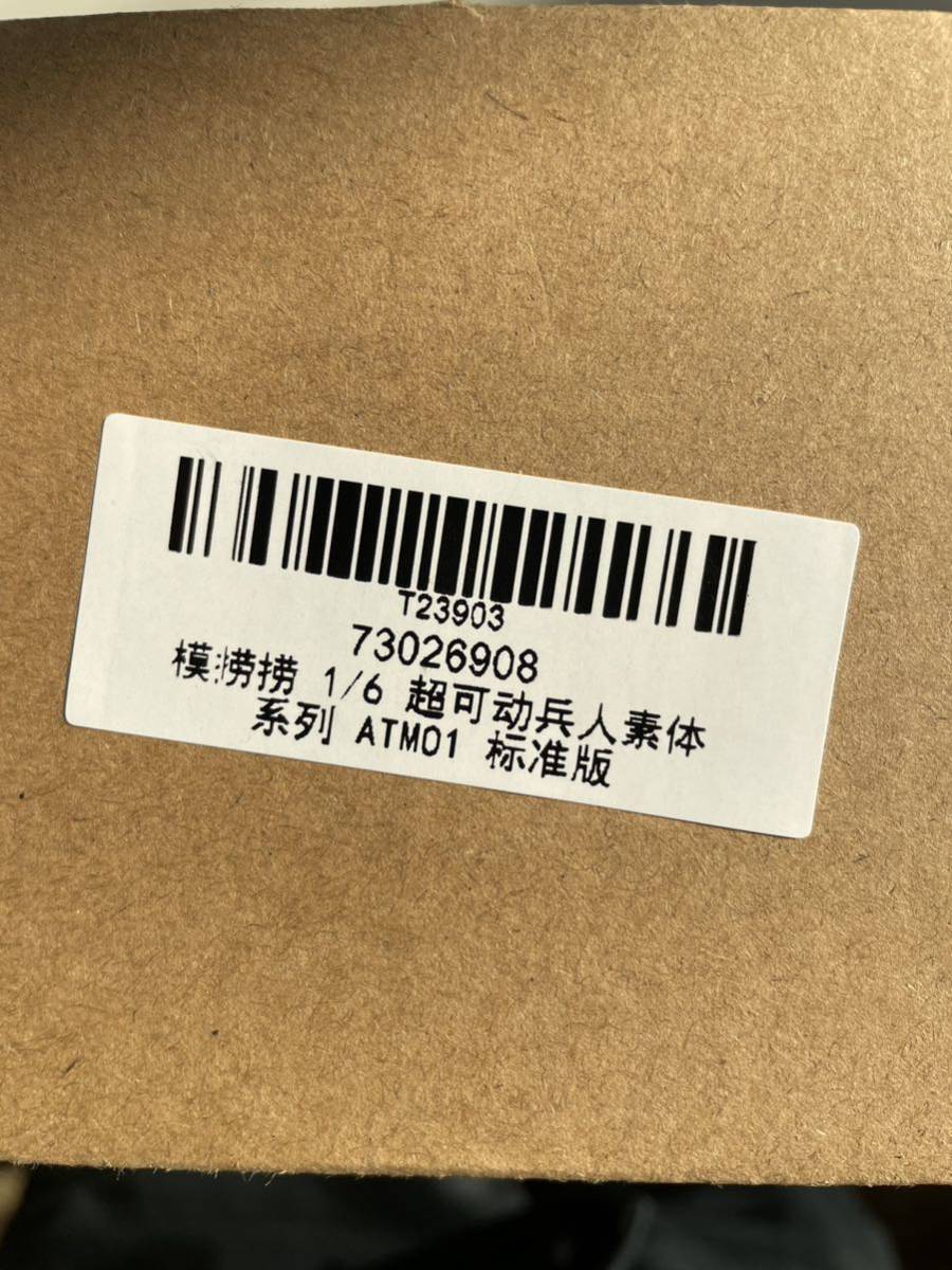 フィギュア 極道 素体 ATM01 1/6_画像9