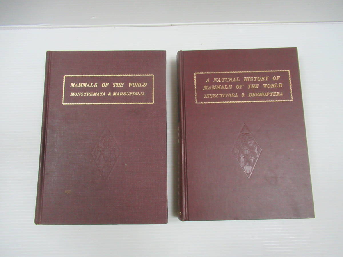 ◆世界哺乳類図説 全2冊揃いセット 単孔目・有袋目 / 食虫目・皮翼目 新思潮社 今泉吉典・小原秀雄:共著 藪内正幸:画 1966年 限定版_画像3