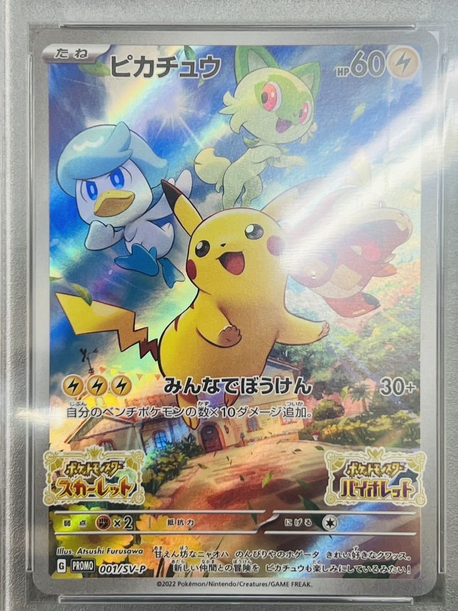 即購入可！ポケモンカード ポケカ カスミ＆カンナ SR PSA10 横線なし-