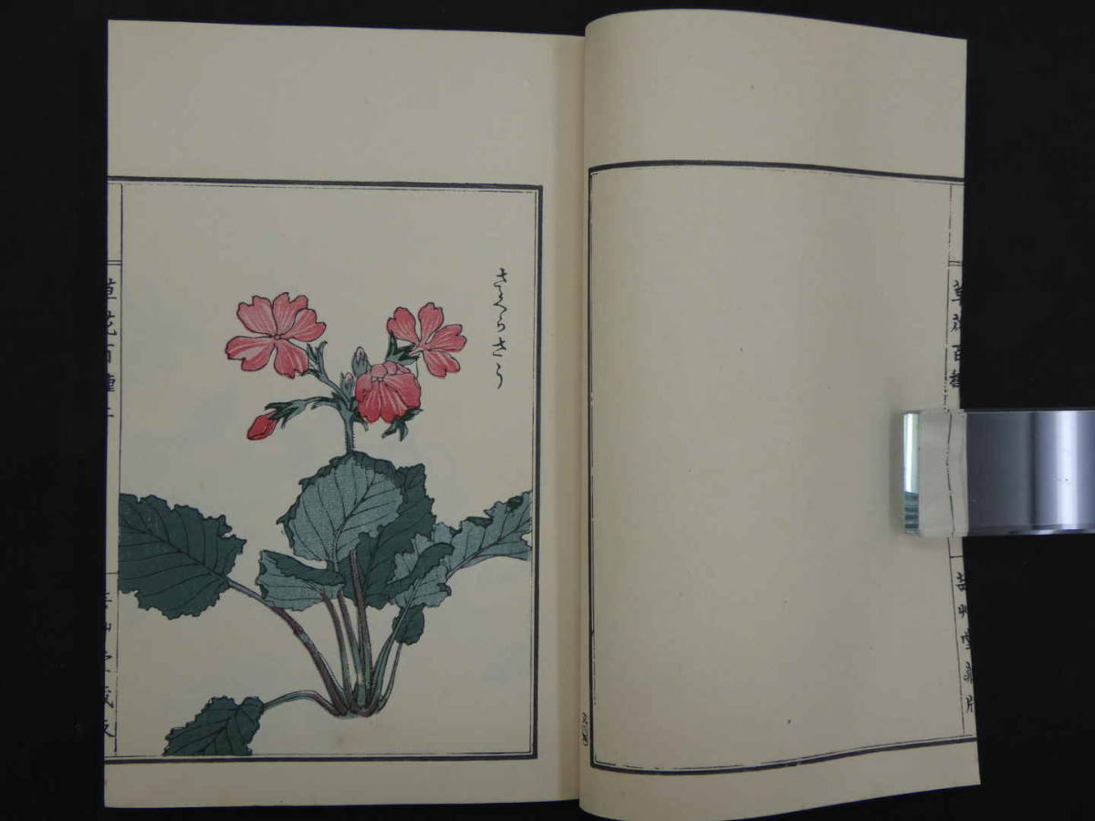 草花百種　幸野楳嶺　芸艸堂　明治34年　彩色木版刷　全4冊　和本　古文書_画像6