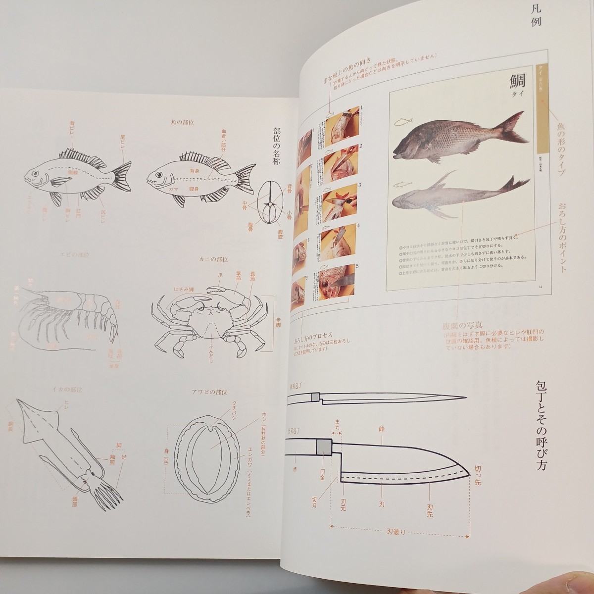 zaa-516! shape another fish. ... person Shibata bookstore (2009/8/31) fish . body type another . classification, all 40 kind fish. ... person . introduction make.