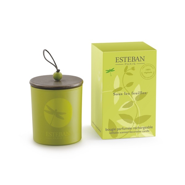  новый товар ESTEBAN Esthe van зеленый Note декоративный элемент Latte .b свеча 