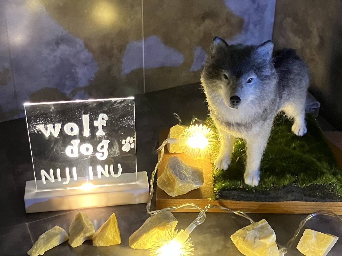 【ＮＩＪＩ　ＩＮＵ】★オオカミ犬★　ウルフドック wolfdog 狼 オリジナル　羊毛フェルト 犬　ハンドメイド　おまけ付き☆　送料無料♪_画像2