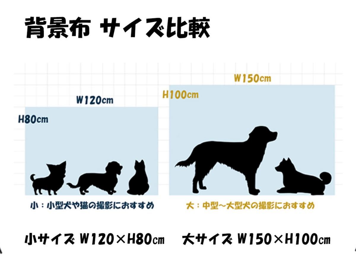 撮影背景布 バルーン 記念日 W120×H80cm 撮影用 背景布 背景スクリーン ペット写真 タペストリー 誕生日 パーティー 撮影小物 犬 猫_画像2