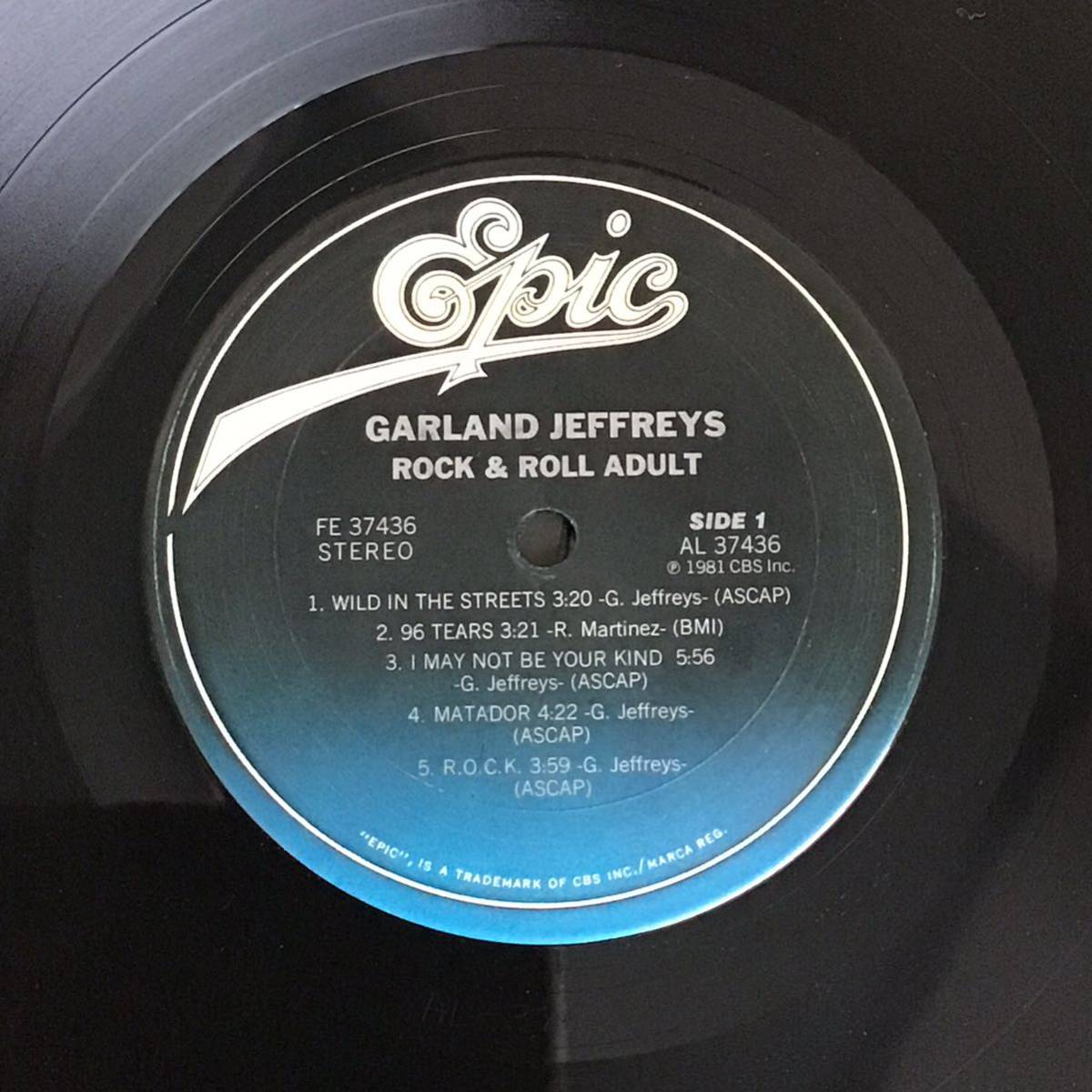 US盤 LP / ガーランド・シェフリーズ GARLAND JEFFREYS／ROCK&ROLL ADULT_画像4